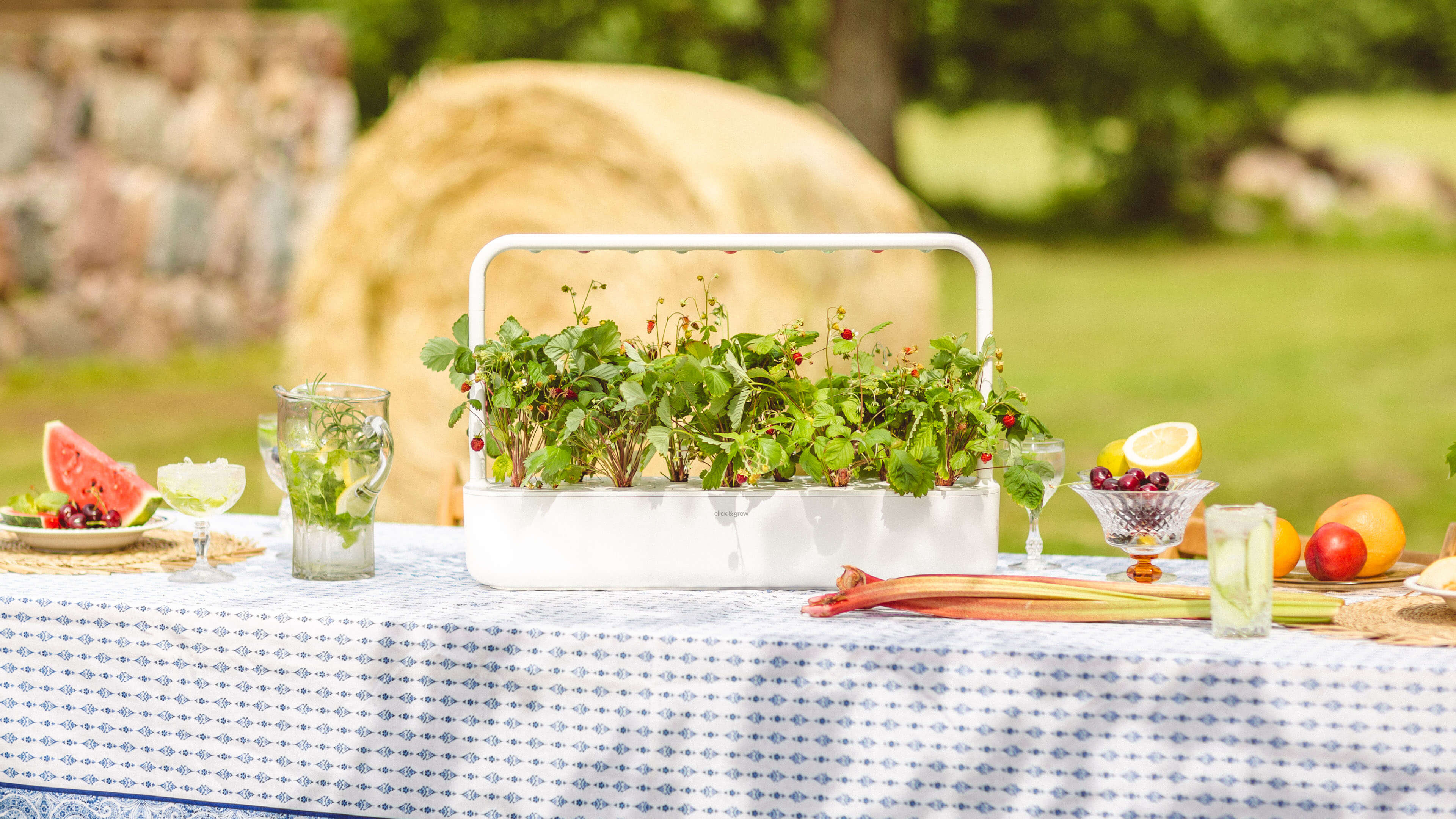 Fresh Herbs, Zero Effort